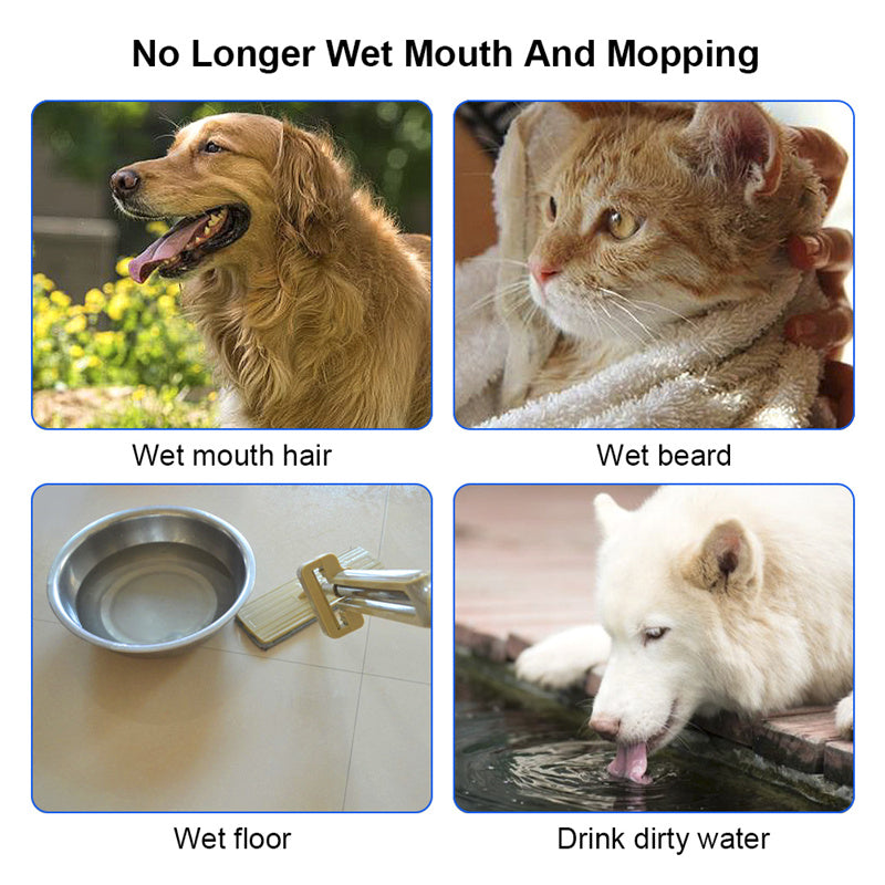 No-Spill Floating Pet Water Bowl — 1.5L Anti-Splash Slow Drinker for Dogs & Cats (Travel-Friendly Fountain Bowl)
