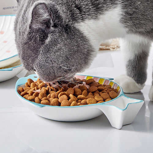 Gray cat eating dry food from a fish-shaped ceramic cat bowl with a shallow, whisker-friendly blue rim