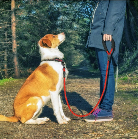 Reflective Dog Leash Nylon Pet Dog Leash Rope For Small Medium Large Dogs Walking Training Pet Suppiles FurWell