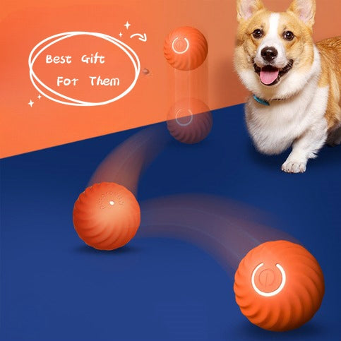Pet Dog Rubber Ball Toys For Dogs Resistance To Bite Dog Chew Toys Puppy Pets Dogs Training Products FurWell