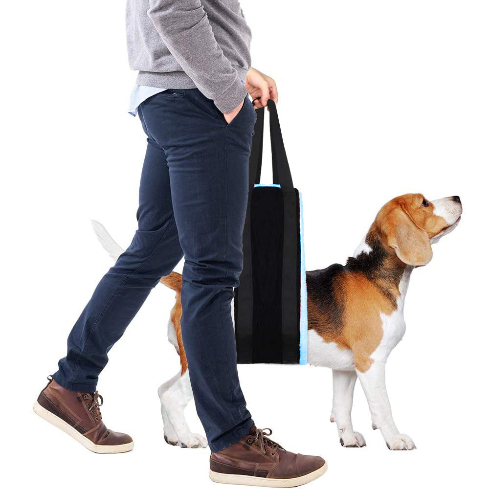 Lift & Walk Dog Sling — Rear Leg & Hip Support Harness for Senior Dogs, Surgery Recovery & Mobility Aid