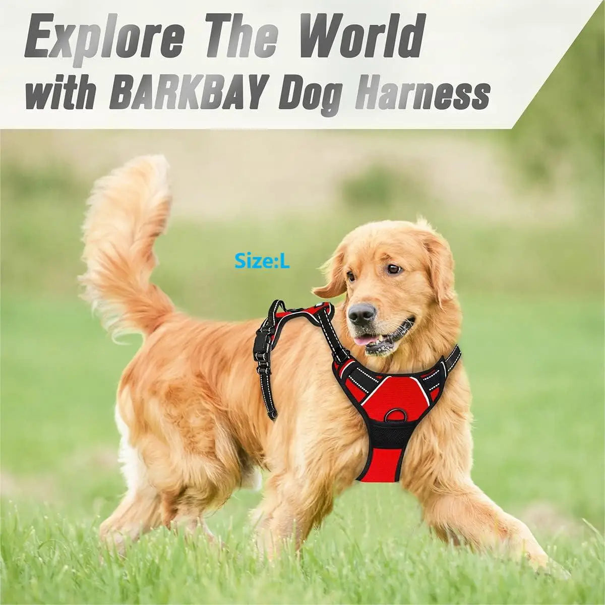 No-Pull Front-Clip Dog Harness — Reflective, Padded, Easy-Control Handle for Big Dogs