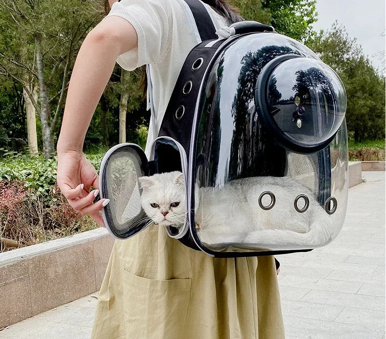 Bubble-Window Pet Backpack — Ventilated Travel Carrier for Cats & Small Dogs