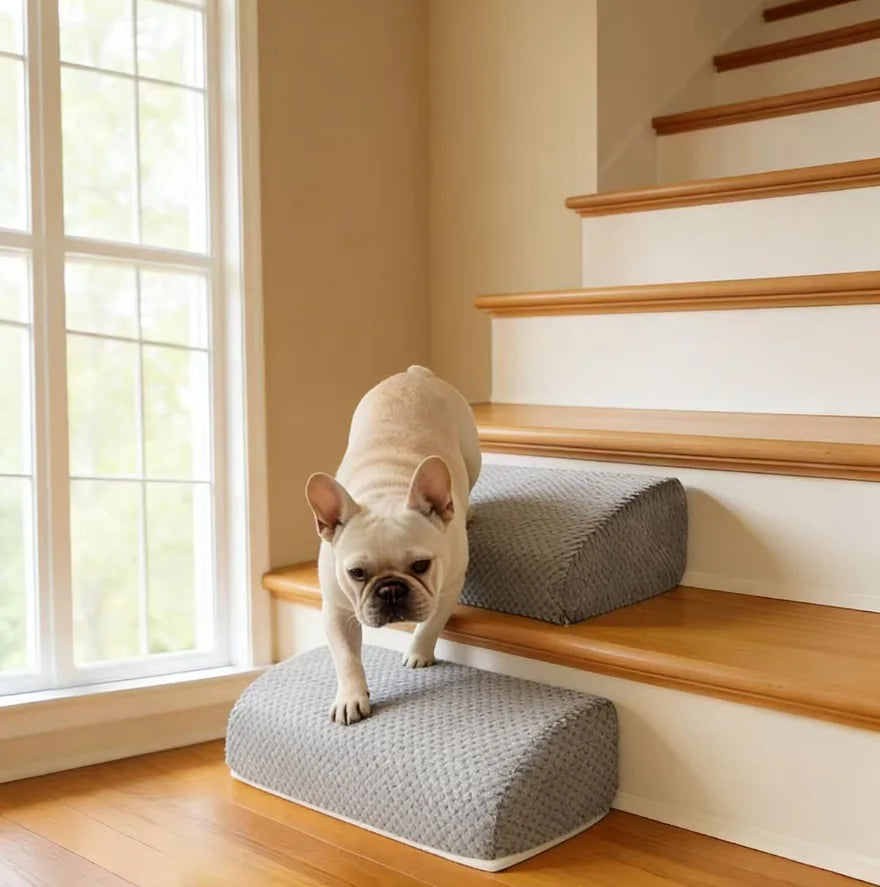 Non-Slip Foam Pet Stairs — 2 or 3 Step Ramp for Senior Dogs, Couch & Bed Access