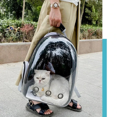 Bubble-Window Pet Backpack — Ventilated Travel Carrier for Cats & Small Dogs