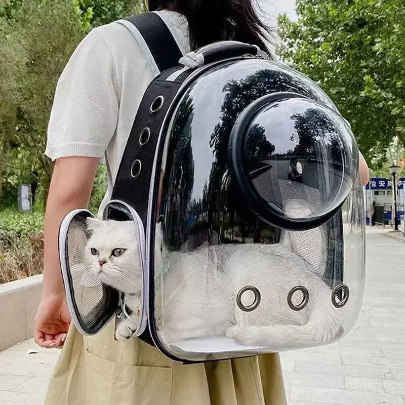Bubble-Window Pet Backpack — Ventilated Travel Carrier for Cats & Small Dogs