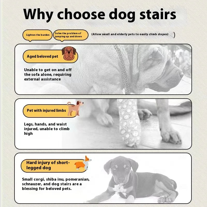 Non-Slip Foam Pet Stairs — 2 or 3 Step Ramp for Senior Dogs, Couch & Bed Access