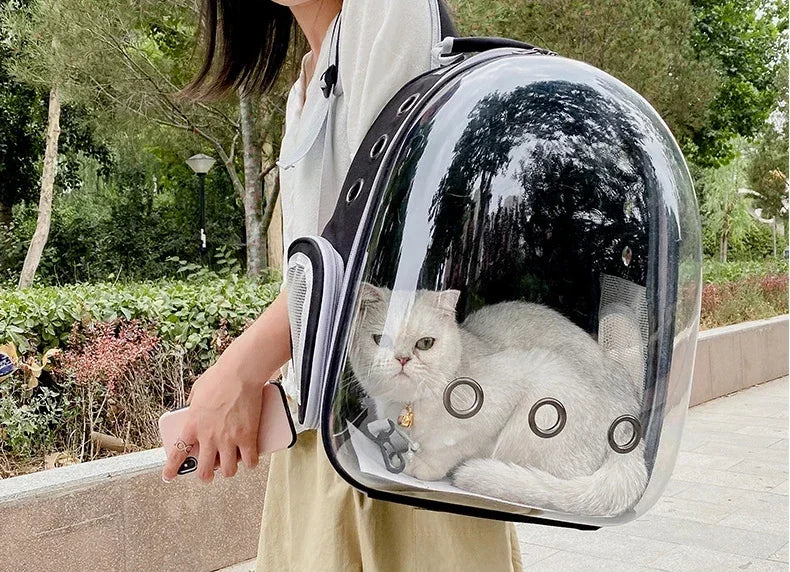 Bubble-Window Pet Backpack — Ventilated Travel Carrier for Cats & Small Dogs