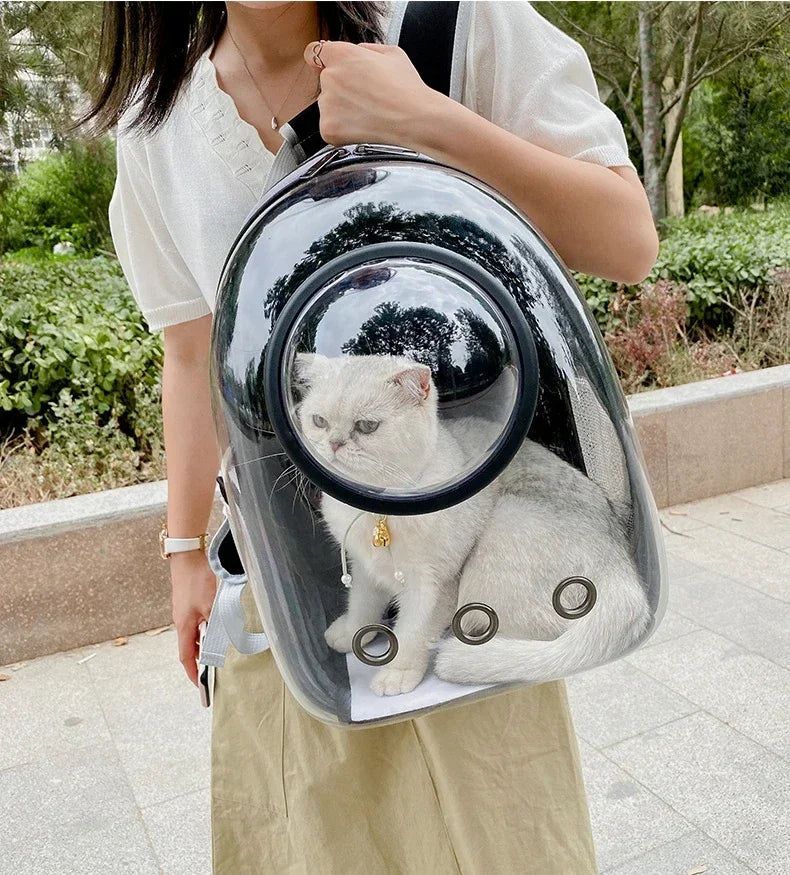 Bubble-Window Pet Backpack — Ventilated Travel Carrier for Cats & Small Dogs