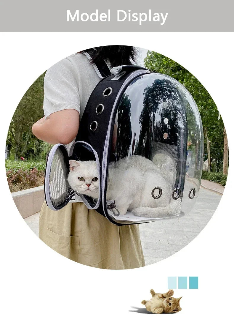 Bubble-Window Pet Backpack — Ventilated Travel Carrier for Cats & Small Dogs