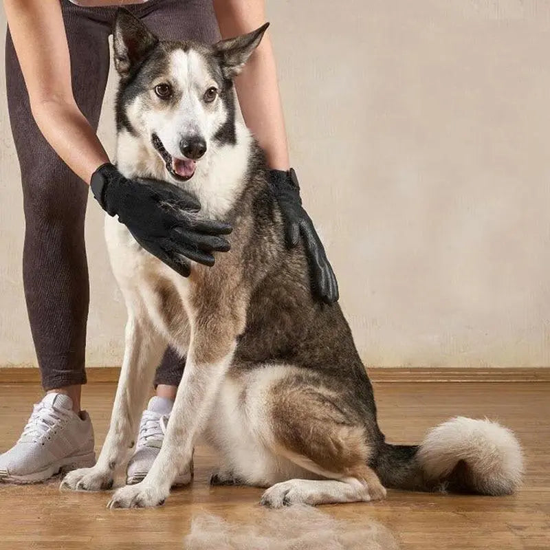 Pet Grooming Gloves – Gentle Deshedding & Massage Glove for Dogs, Cats & Horses Teal Zeus